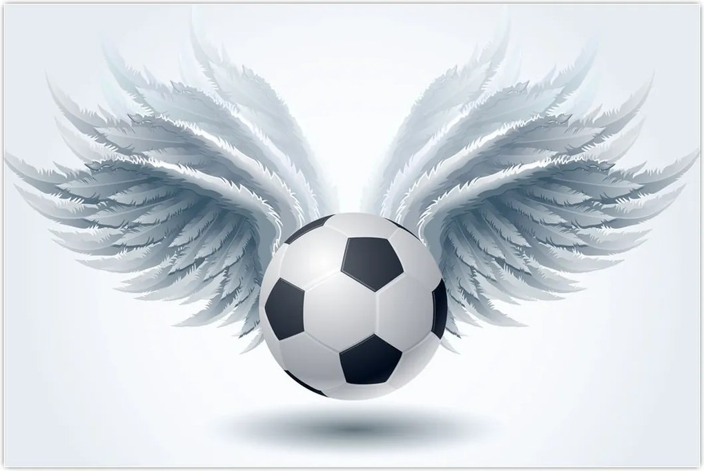 Tablou - Balon cu aripi (90x60 cm)