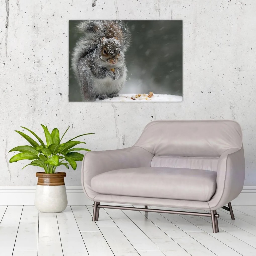 Tablou - Veveriță iarna (70x50 cm)