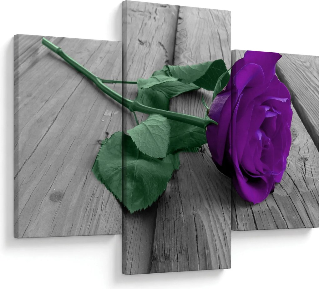 Tablou - Trandafir violet cu tulpina verde (90x60 cm)