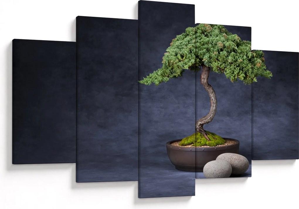 Tablou - Bonsai (150x105 cm)