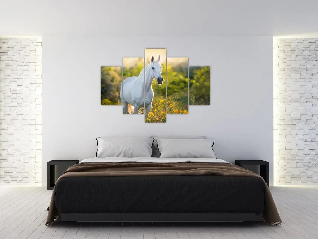 Tablou - Cal alb în poină (150x105 cm)