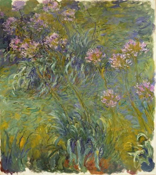 Claude Monet - Artă imprimată Agapanthus, 1914-26, (35 x 40 cm)