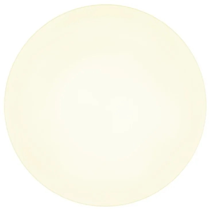 Plafoniera LED design modern simplu MATTHEW D-50cm negru/opal