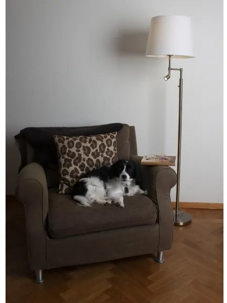 ByRydens 1988780-5504 Lampă de podea ORLANDO 1xE27/5W/230V+LED/3W alb/bronze