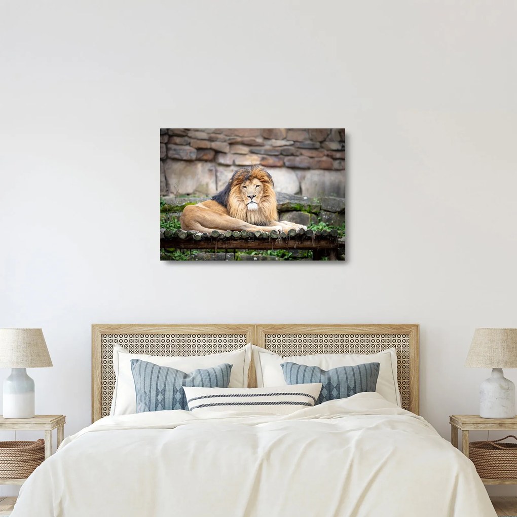 Tablou pe sticlă cu leu (70x50 cm)