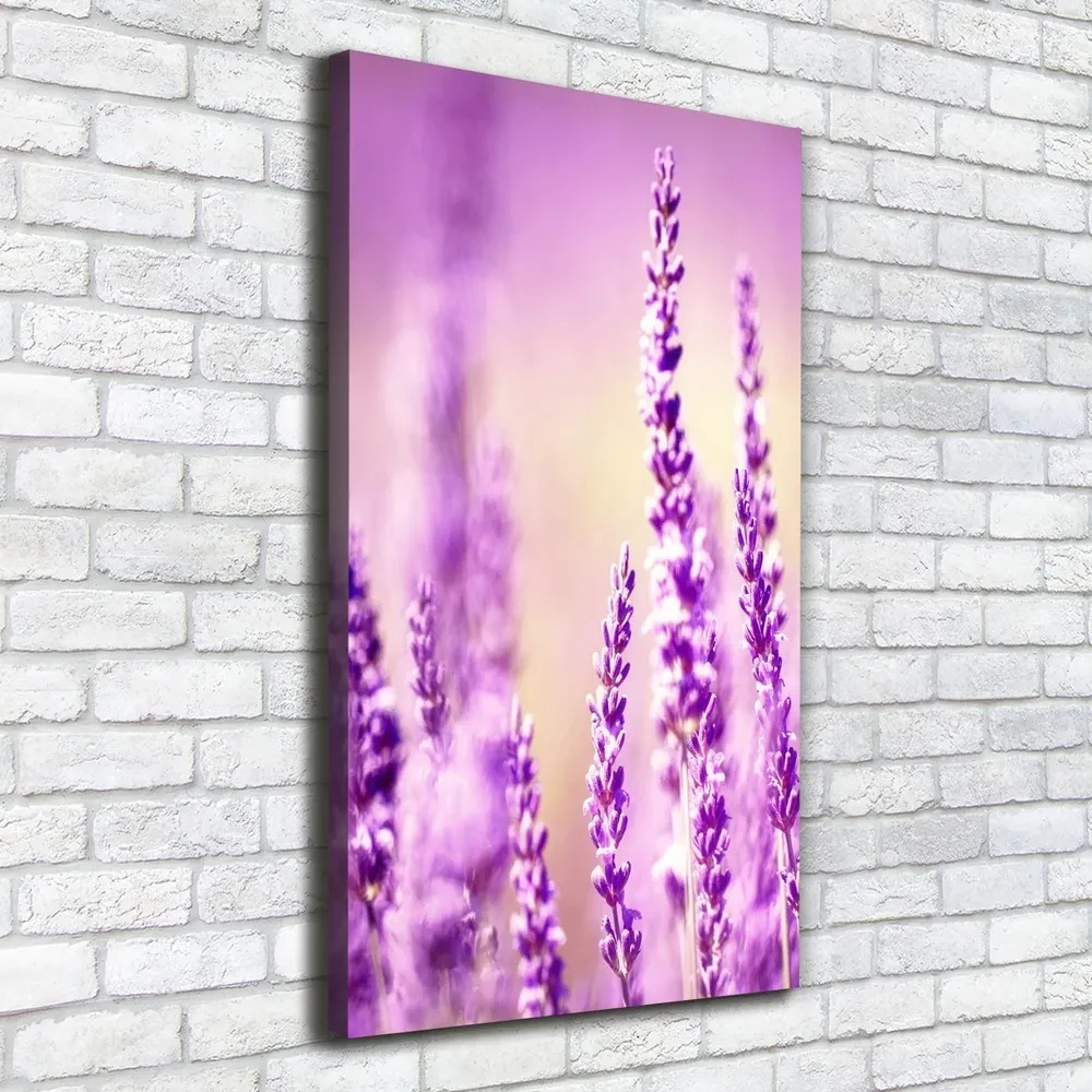 Tablou pe pânză canvas Lavandă