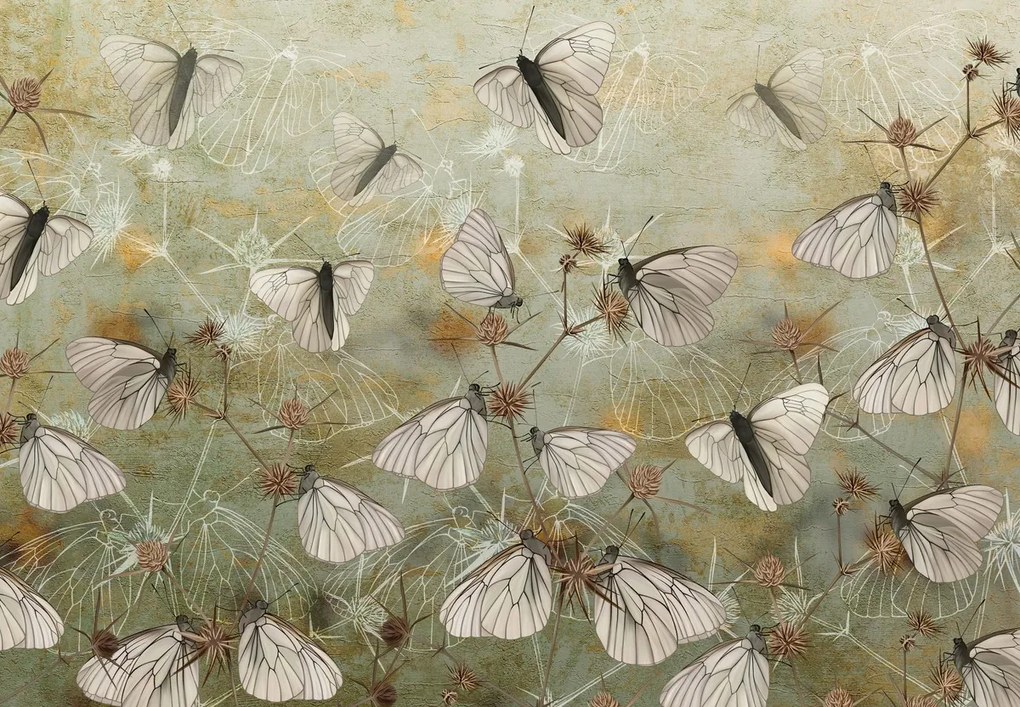 Fototapet - Fluturi, vintage (147x102 cm)