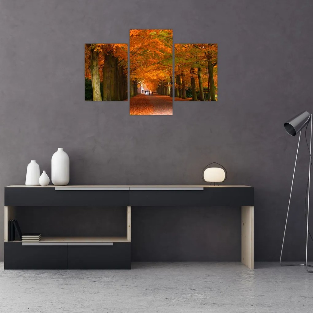 Tablou - Bulevardul de copaci în toamnă (90x60 cm)