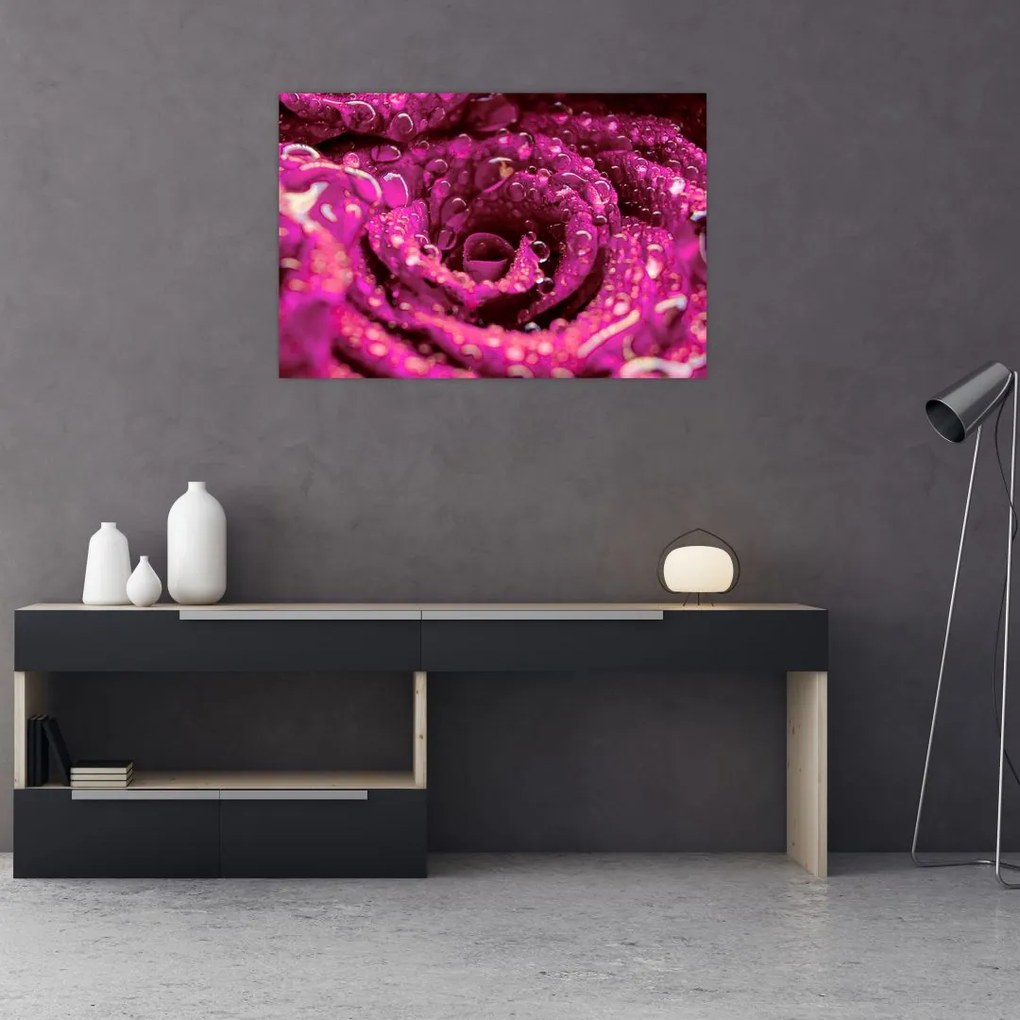 Tabloul cu floarea trandafirului roz (90x60 cm)
