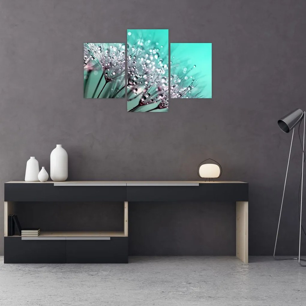 Tablou - planta cu rouă (90x60 cm)