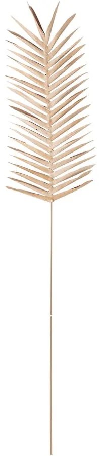 Decorațiune în formă de frunză de palmier Bloomingville Oda, lungime 100 cm