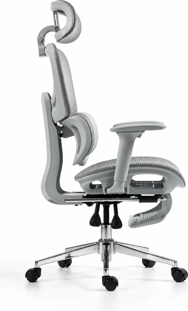 ErgoVanta Mesh — Scaun ergonomic, Suport lombar reglabil, Tetieră 2D, Cotiere reglabile, Mecanism cu blocare, Suport pentru picioare retractabil, Mesh, Gri