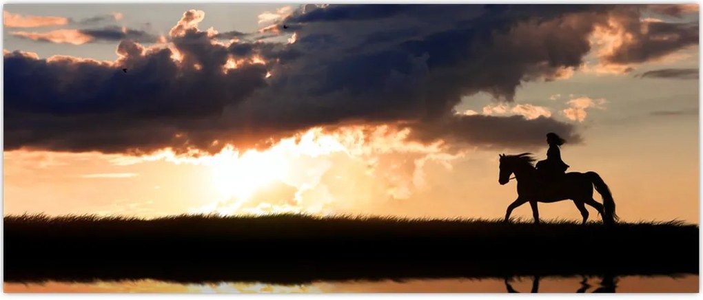 Tablou - Rider pe un cal la apus de soare (120x50 cm)