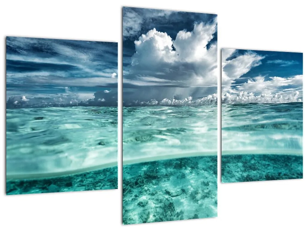 Tablou - privire sub nivelul mării (90x60 cm)