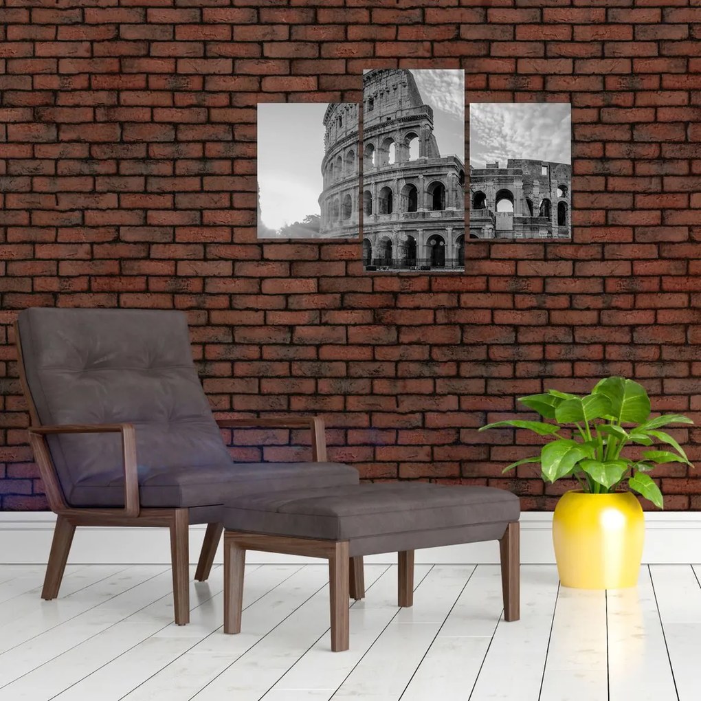 Tablou - Colosseum din Roma, alb-negru (90x60 cm)