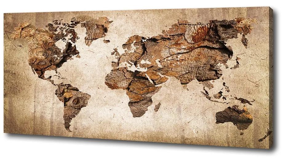 Tablou pe pânză Harta lemnului mondial