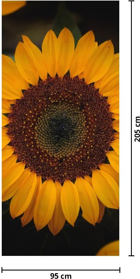 Fototapet pentru ușă - Floarea soarelui și frunze (95x205cm)