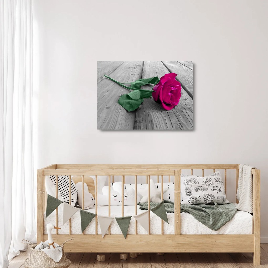 Tablou pe sticlă - Trandafir roz cu tulpina verde (70x50 cm)