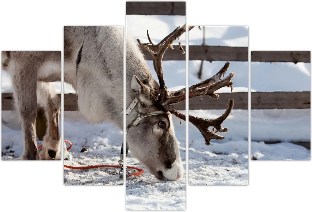 Tablou - Sâmbătă (150x105 cm)