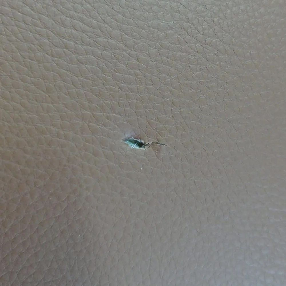 RESIGILAT - Scaun de asteptare HRC 614 maro