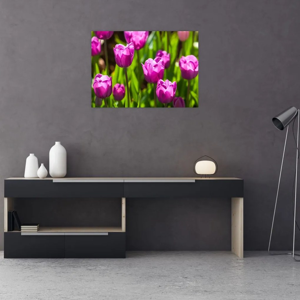 Tablou pe sticlă cu lale pe luncă (70x50 cm)