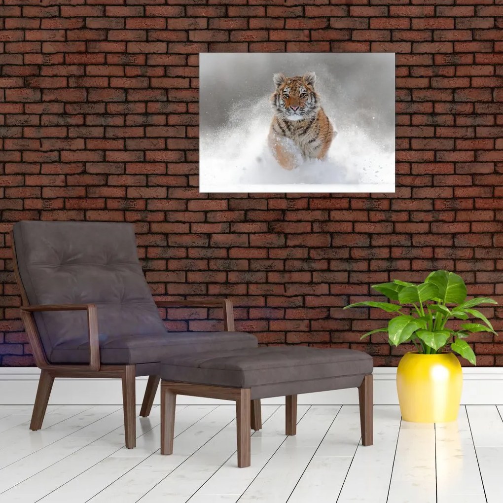 Tablou cutigru fugind prin zăpadă (70x50 cm)