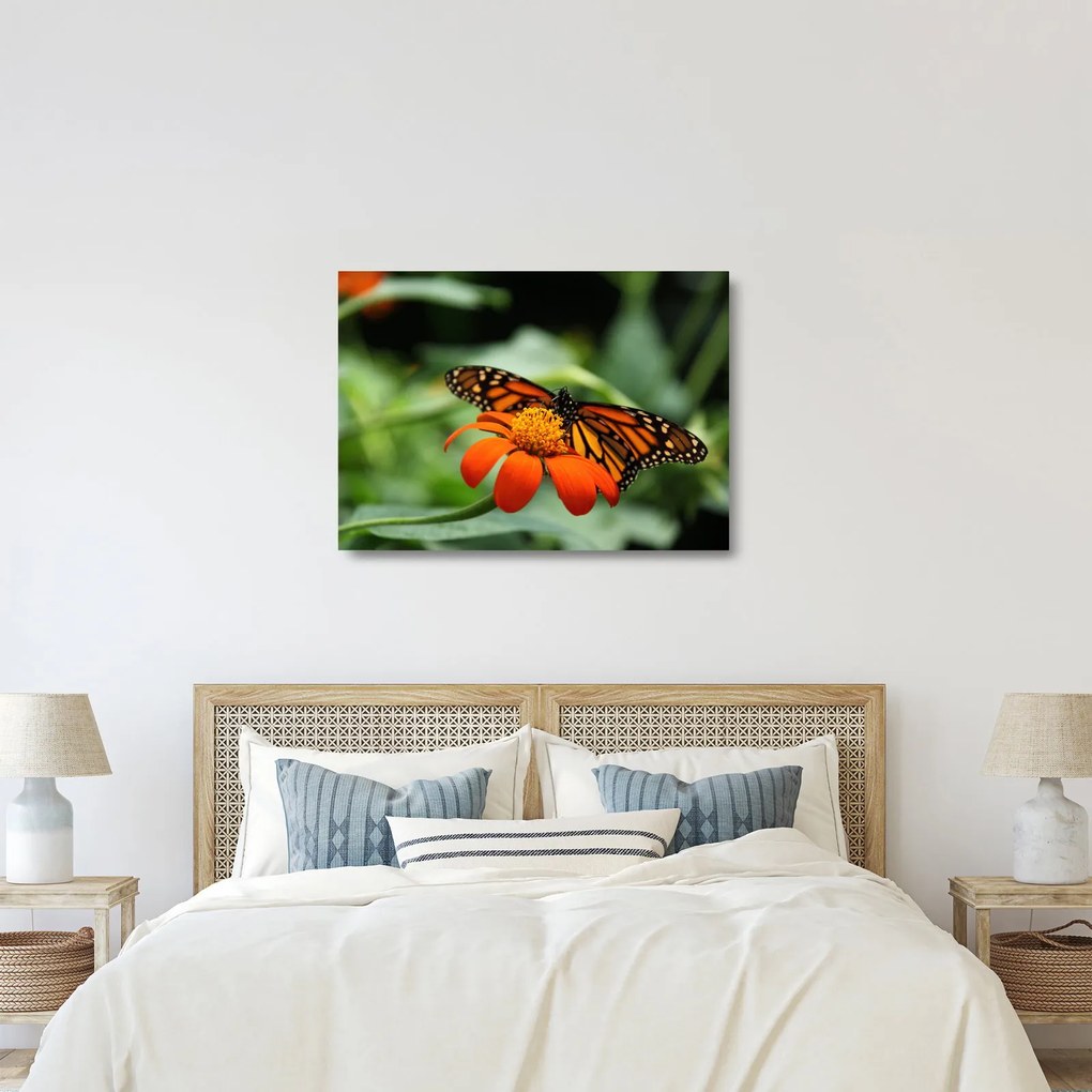 Tablou pe sticlă cu fluture pe floare (70x50 cm)