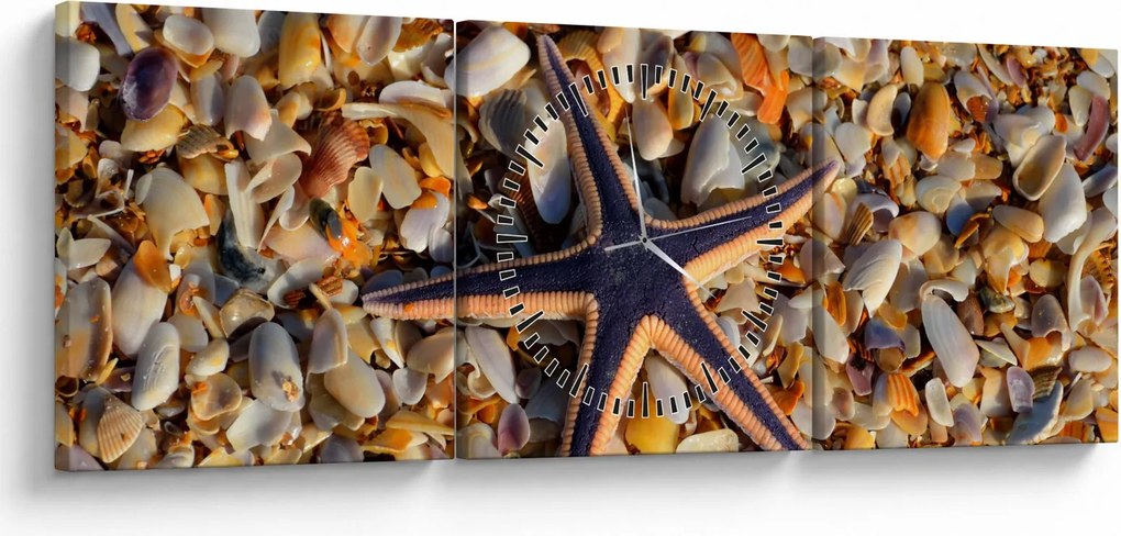 Tablou cu stea de mare (cu ceas) (90x30 cm)