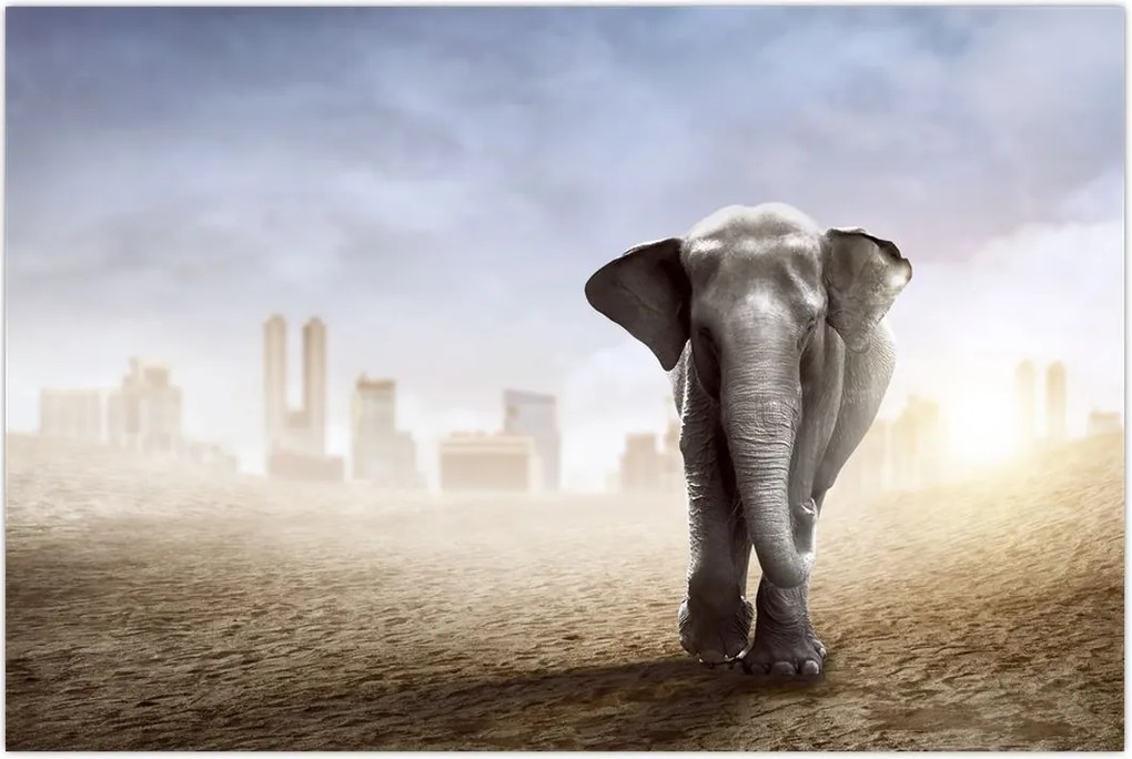 Tablou - Elefanți în oraș (90x60 cm)