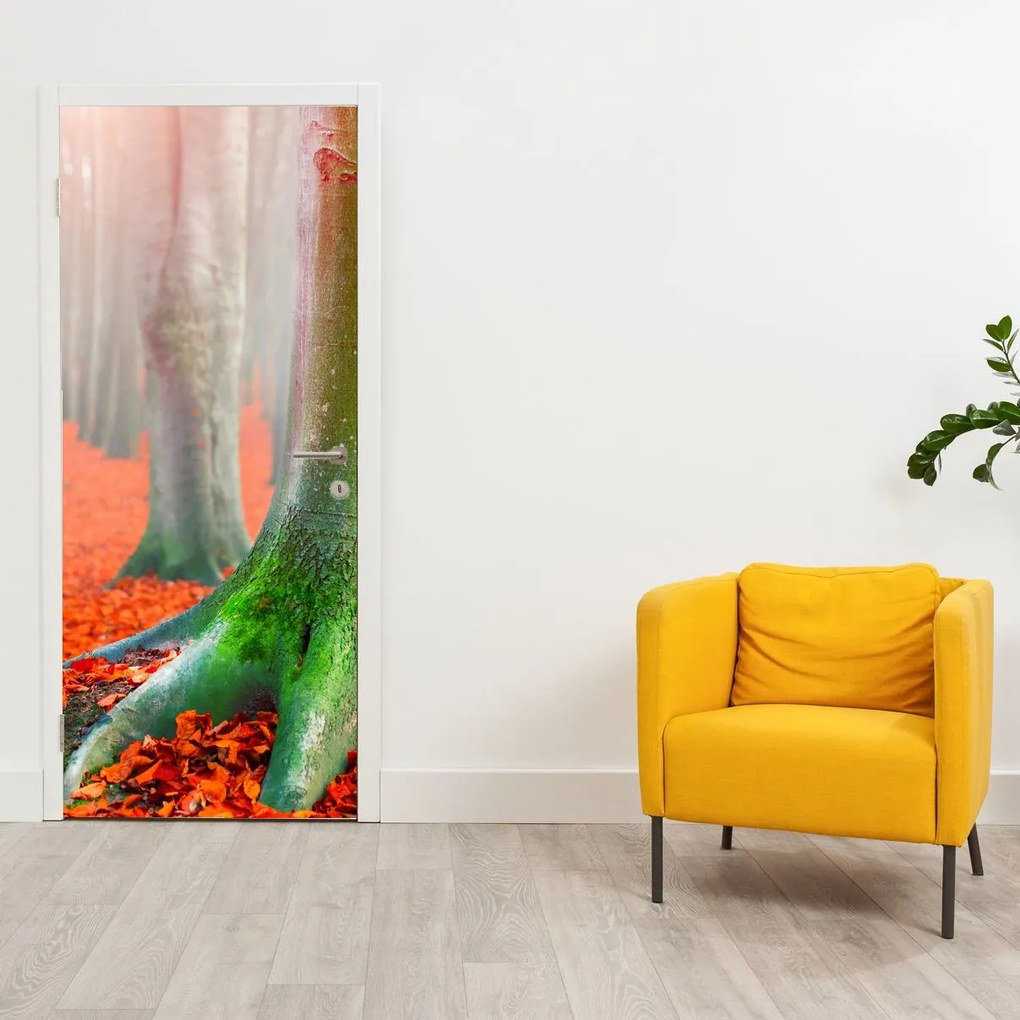 Fototapet pentru ușă - Copacii (95x205cm)