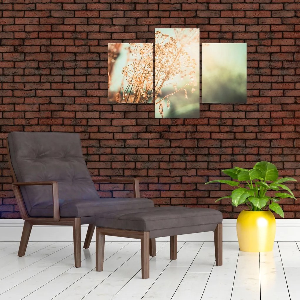 Tablou - Plante după ploaie (90x60 cm)
