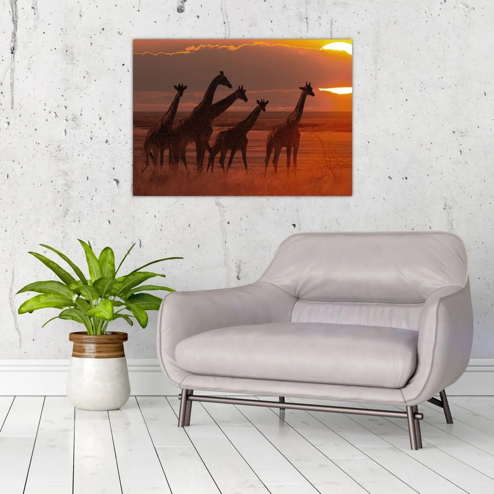 Tablou pe sticlă - Girafe în savana africană (70x50 cm)