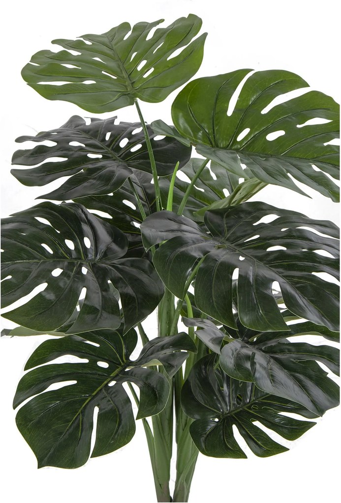 Monstera Minselia 1 (verde). Promo -16%. 1147175