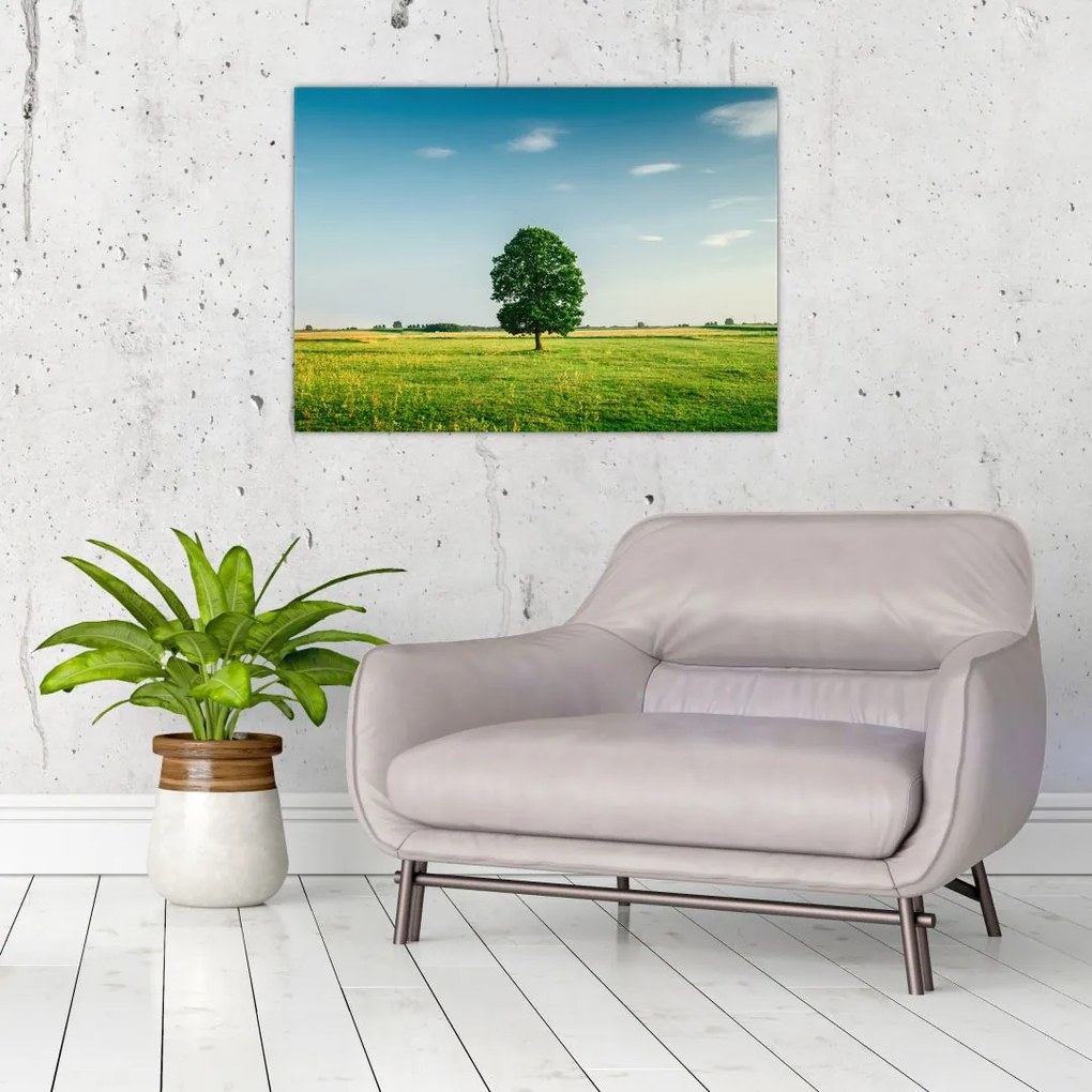 Tablou cu copaci pe luncă (70x50 cm)
