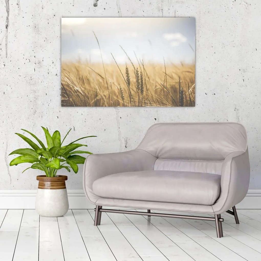 Tablou cu grâne (90x60 cm)