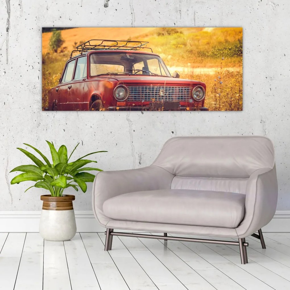 Tablou cu mașină în câmp (120x50 cm)