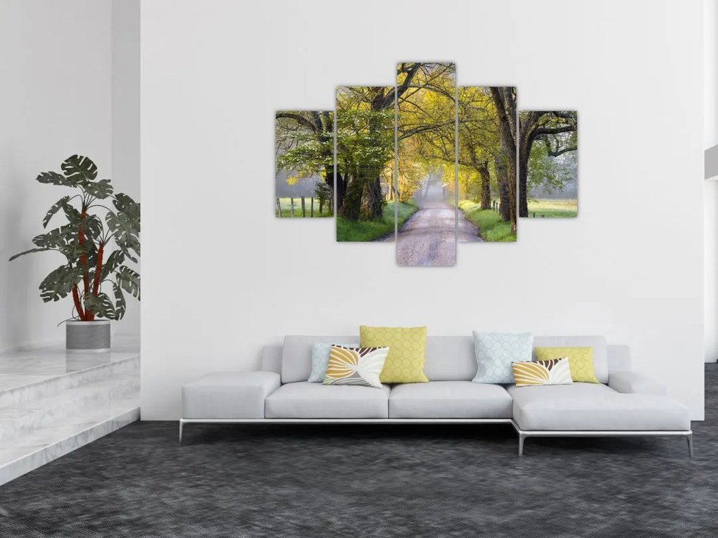 Tablou - Smoky Mountains, Gatlinburg, SUA (150x105 cm)