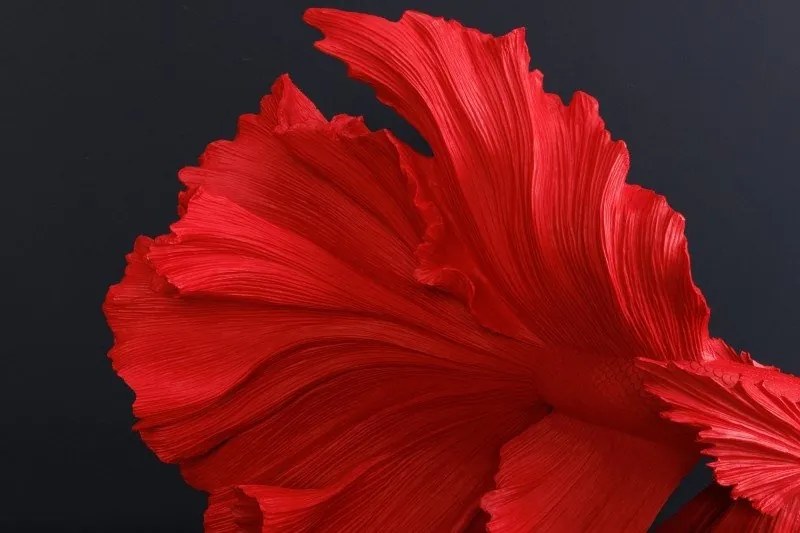 Statueta decorativa extravaganta Fisch Crowntail 65cm, rosu