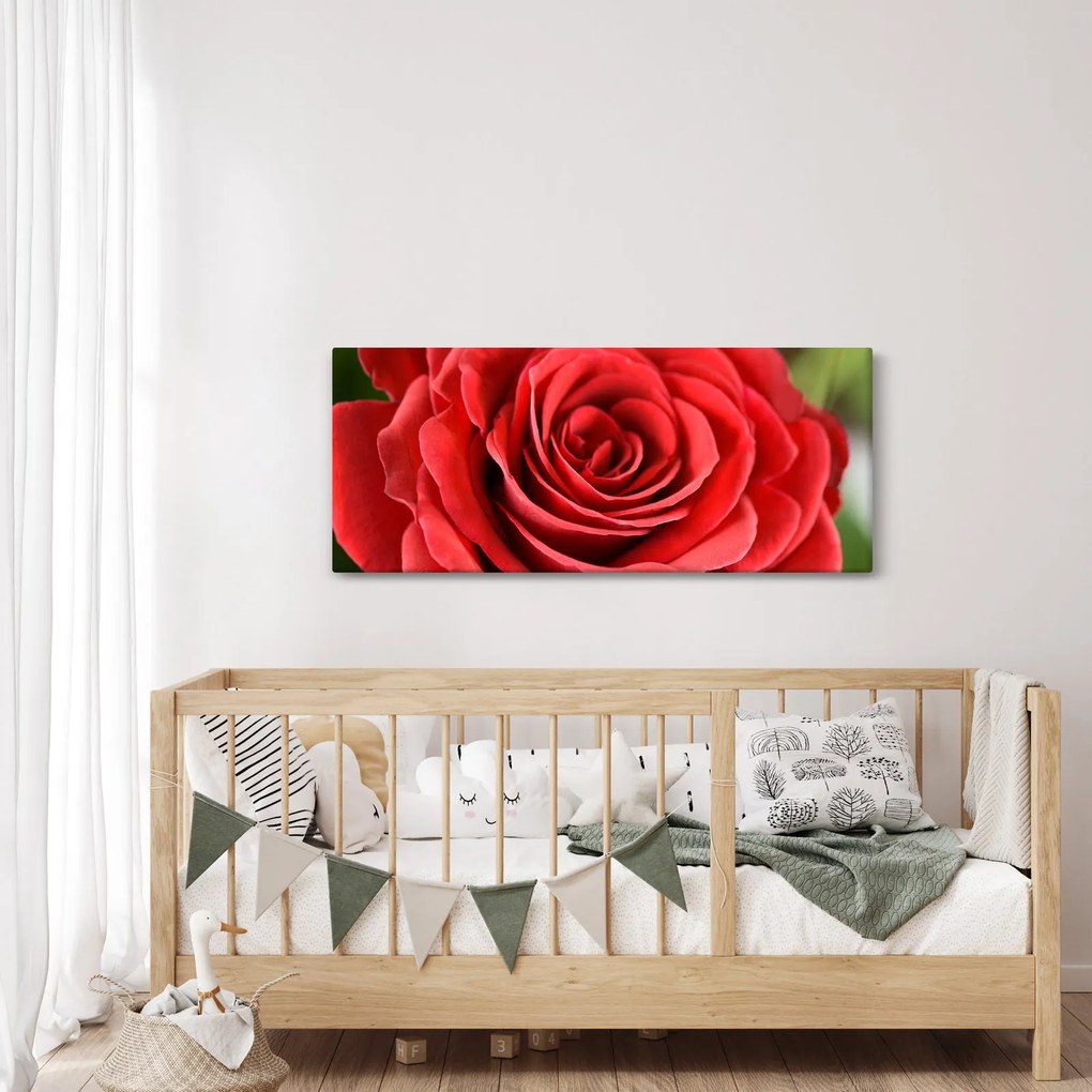 Tablou - Flori de trandafir (120x50 cm)