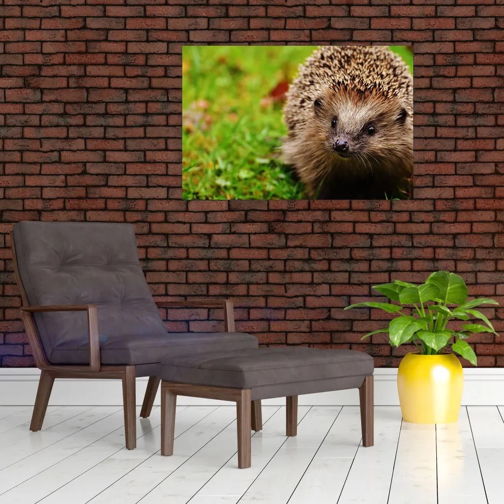 Tablou cu arici (90x60 cm)