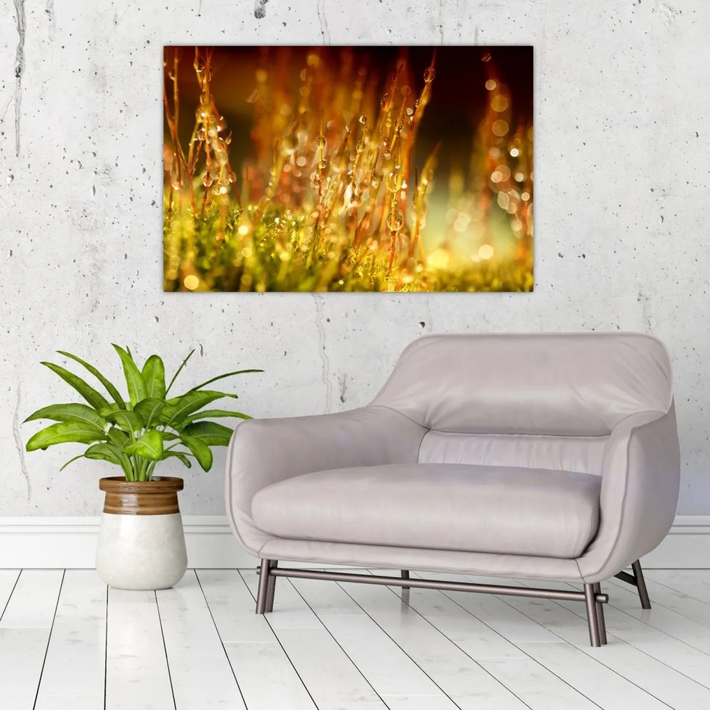 Tablou - Detaliu rouă (90x60 cm)