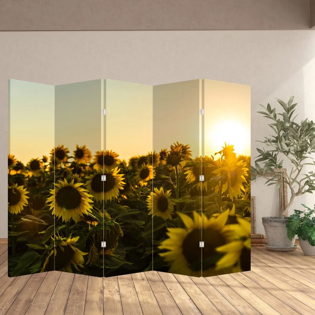 Paravan - Lan de floarea soarelui (210x170 cm)