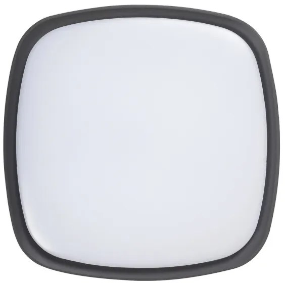 Rabalux 8797 - LED Plafonieră exterior AUSTIN LED/20W/230V IP65