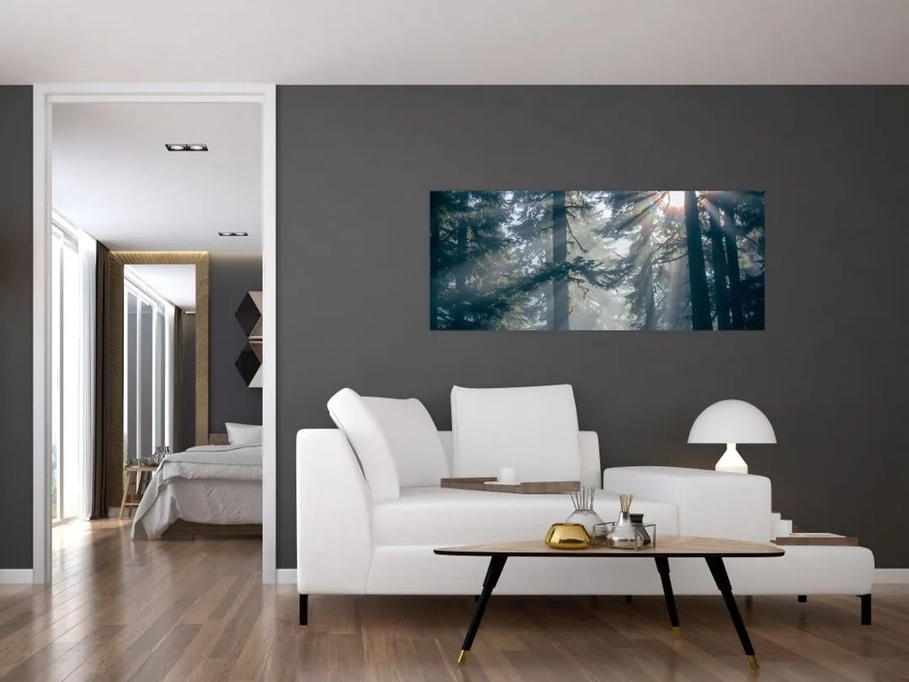 Tablou cu copaci și soarele translucind (120x50 cm)