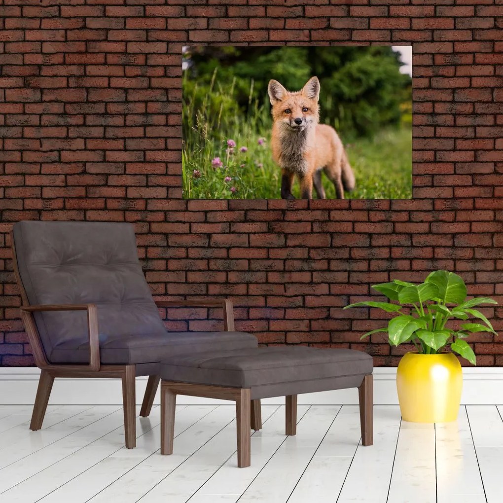 Tablou cu vulpe (90x60 cm)