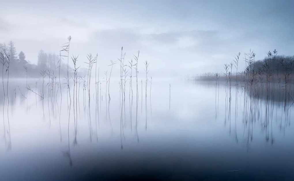 Tapet Calm Lake, Rebel Walls