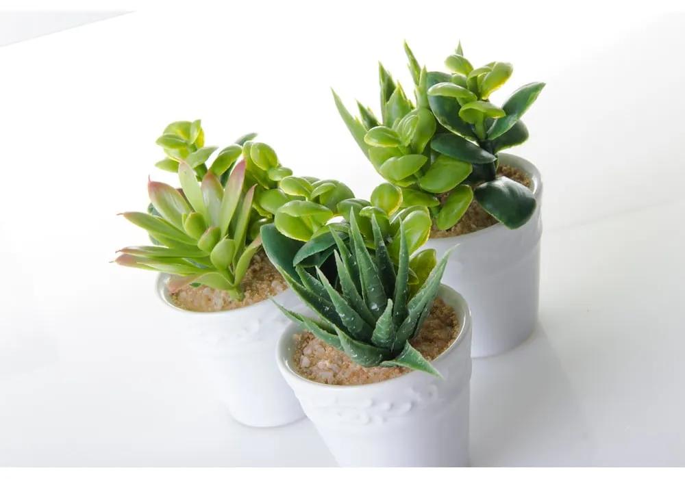 Plante artificiale 6 buc. (înălțime 11 cm) – Casa Selección