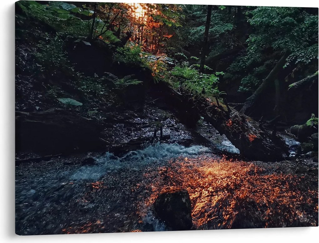 Tablou cu râu montan (70x50 cm)