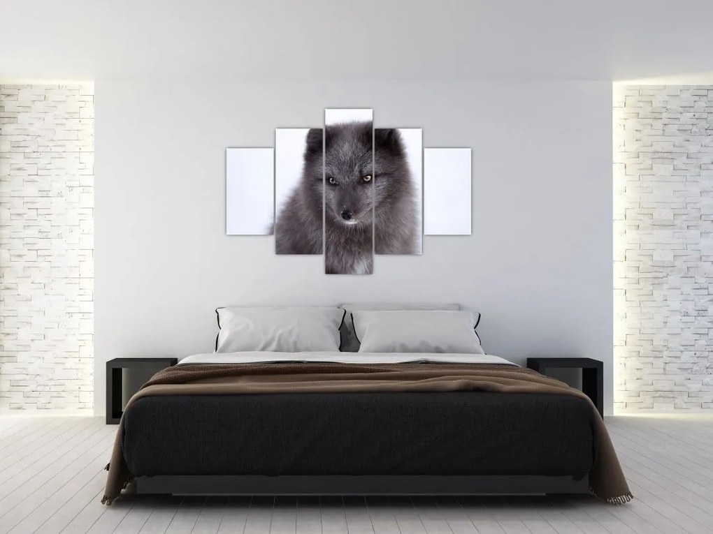 Tablou cu vulpe polară (150x105 cm)