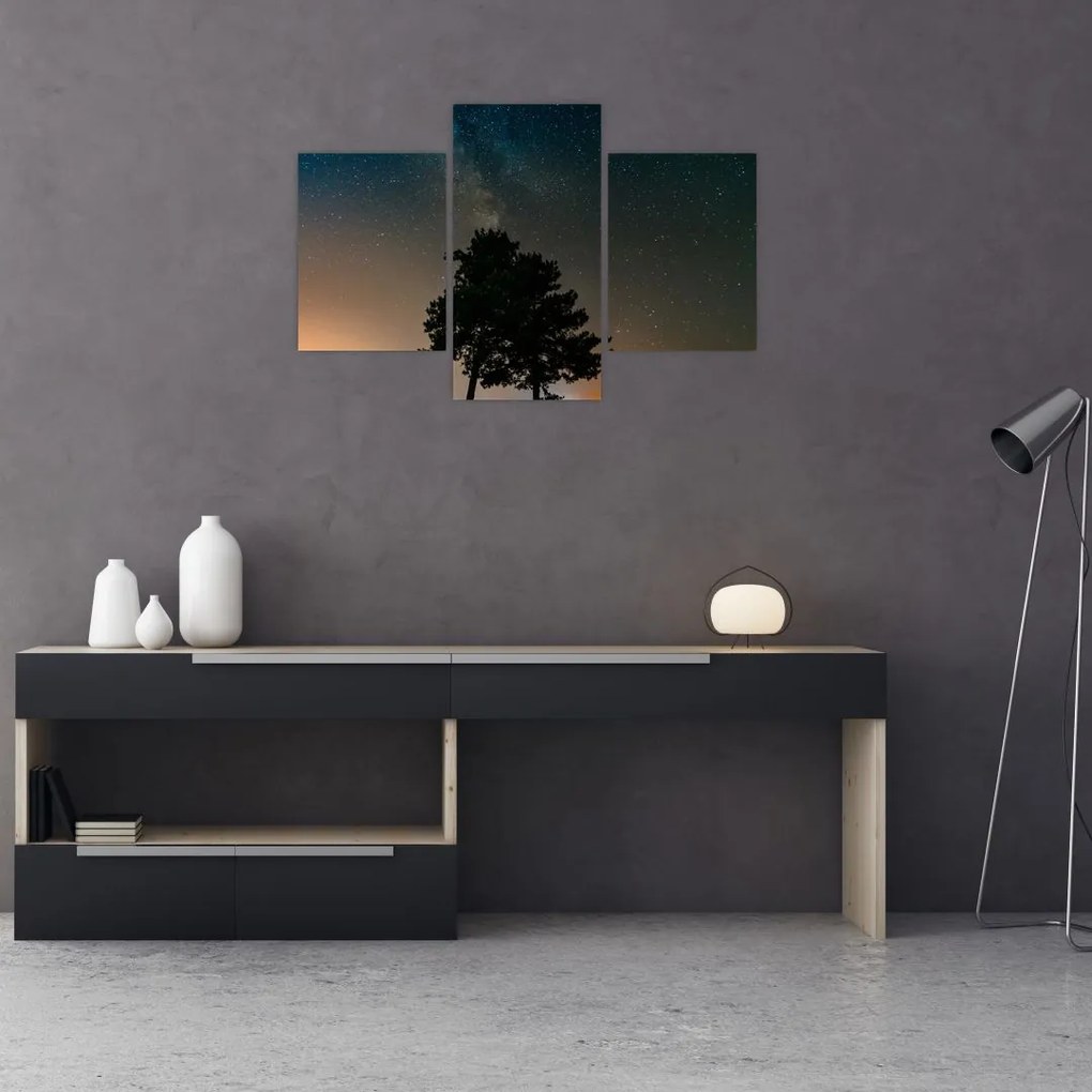Tablou cu cerul nocturn și copaci (90x60 cm)